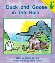 Duck and Goose in the Rain