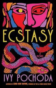 Ivy Pochoda book cover