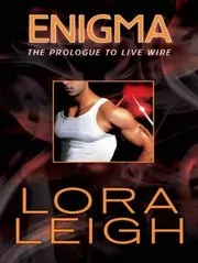 Book cover for "Enigma" by Lora Leigh