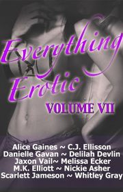 Book cover for "Everything Erotic Volume VII"