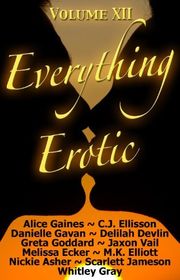 Book cover for "Everything Erotic Volume XII"