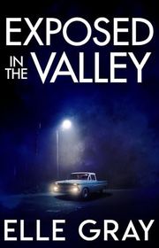 Sapphire Valley Mystery book cover