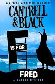 Rebecca Cantrell book cover