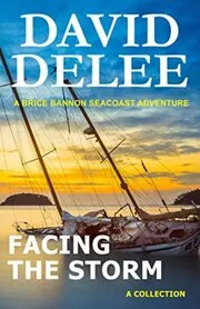 David DeLee book cover