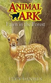 Fawn in the Forest