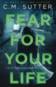 Mitch Cannon Savannah Heat Thriller book cover