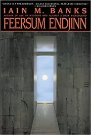 Feersum Endjinn