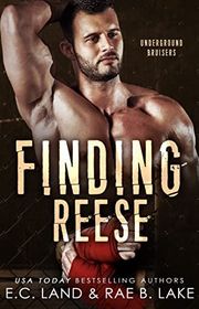 Book cover for "Finding Reese" by Rae B Lake
