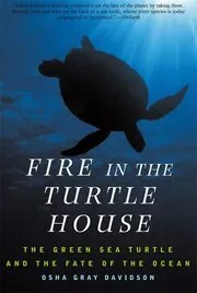 Fire In The Turtle House