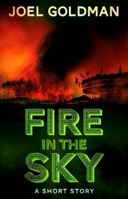 Book cover for "Fire In The Sky" by Joel Goldman