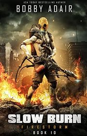 Book cover for "Firestorm"