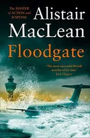 Book cover for "Floodgate"