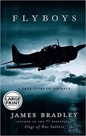 Book cover for "Flyboys" by James Bradley