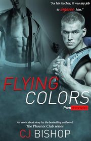 Book cover for "Flying Colors" by CJ Bishop