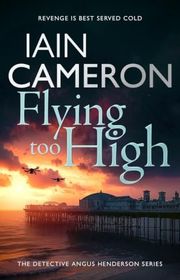Book cover for "Flying Too High" by Iain Cameron