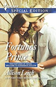 Book cover for "Fortune's Prince" by Allison Leigh