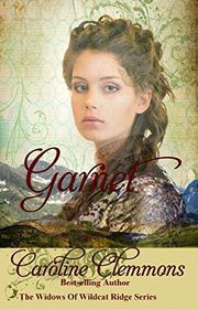 The Widows of Wildcat Ridge (Caroline Clemmons) book cover