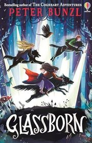 Peter Bunzl book cover