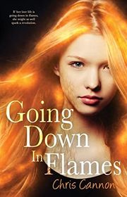 Book cover for "Going Down in Flames"