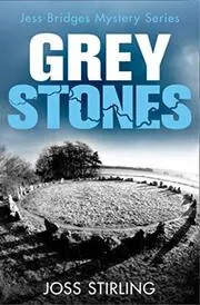 Joss Stirling book cover