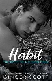 The Boys of Welles book cover