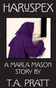 Marla Mason Prequel book cover