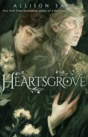 Allison Saft book cover