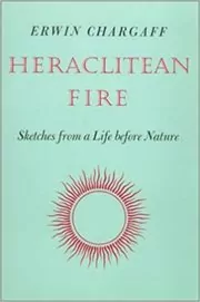 Heraclitean Fire