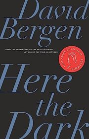 Book cover for "Here the Dark" by David Bergen