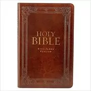 Book cover for "Holy Bible"