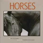 Book cover for "Horses" by Thomas McGuane