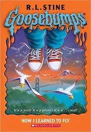 How I Learned To Fly