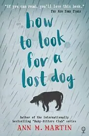How To Look For A Lost Dog