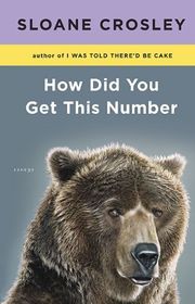 Book cover for "How Did You Get This Number" by Sloane Crosley