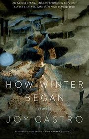 Joy Castro book cover