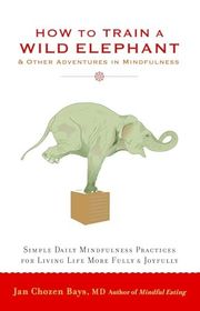 Book cover for "How to Train a Wild Elephant" by Jan Chozen Bays