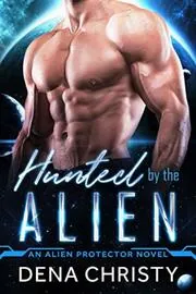 Dena Christy book cover