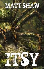 Book cover for "ITSY" by Matt Shaw