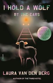 Laura Van Den Berg book cover