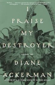 Book cover for "I Praise My Destroyer"