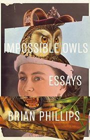 Book cover for "Impossible Owls" by Brian Phillips