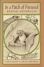 In a Patch of Fireweed