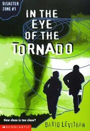 In the Eye of the Tornado