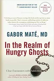 Book cover for "In the Realm of Hungry Ghosts"