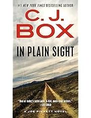 Book cover for "In Plain Sight"