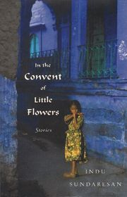 Indu Sundaresan book cover