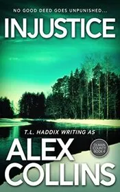 Book cover for "Injustice / Hidden in the Shadows" by TL Haddix