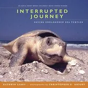 Book cover for "Interrupted Journey" by Kathryn Lasky