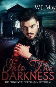 Book cover for "Into The Darkness" by WJ May