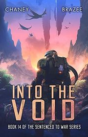 Book cover for "Into the Void"